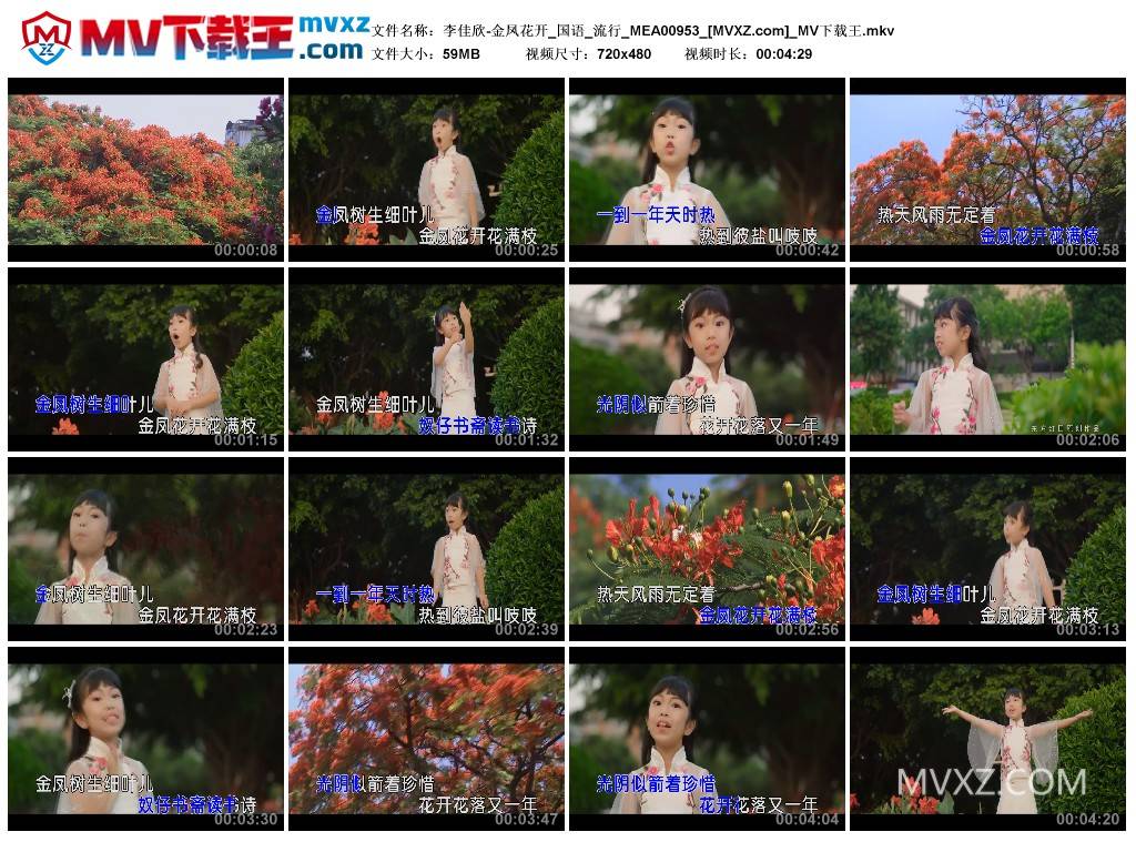 李佳欣-金凤花开_国语_流行_MEA00953